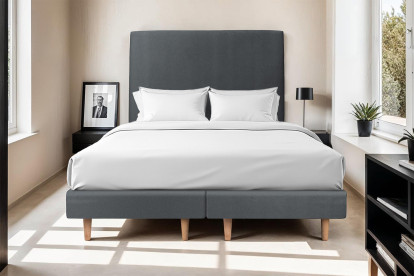 Lit 2x 100x200 cm - Sommier tapissier H29 cm + tête de lit tapissée - Tissu Velours Gris Anthracite