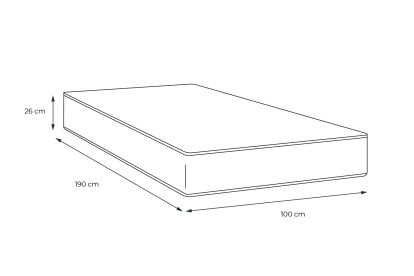 Matelas 100x190 cm Ressorts ensachés et Mémoire de forme - Windsor